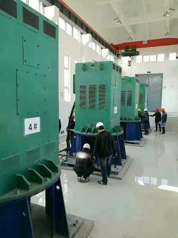 YKS5602-6某污水处理厂使用我厂的立式高压电机安装现场