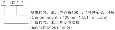 西安泰富西玛Y系列(H355-1000)高压YKS5602-6三相异步电机型号说明